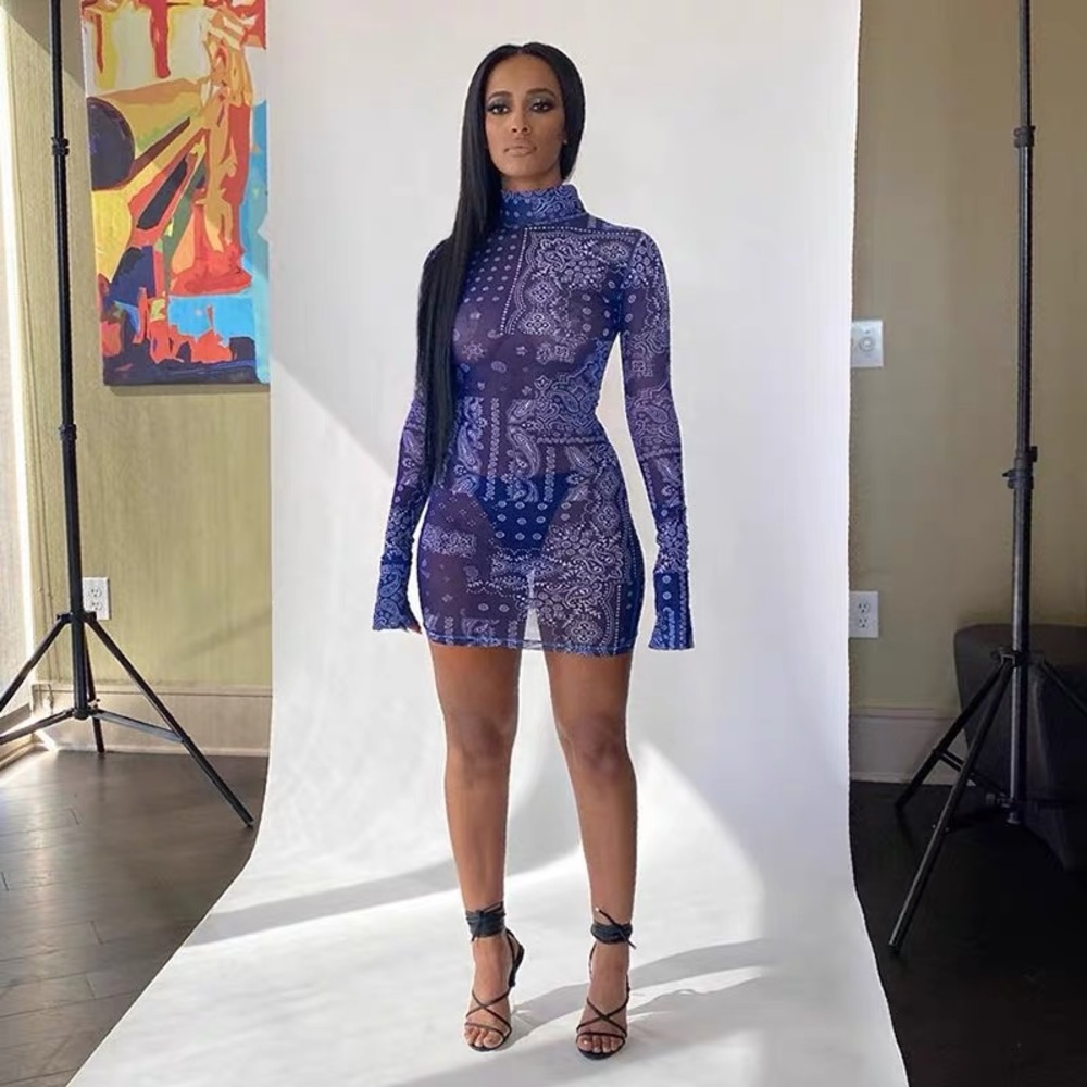 Printed Mesh Dress
